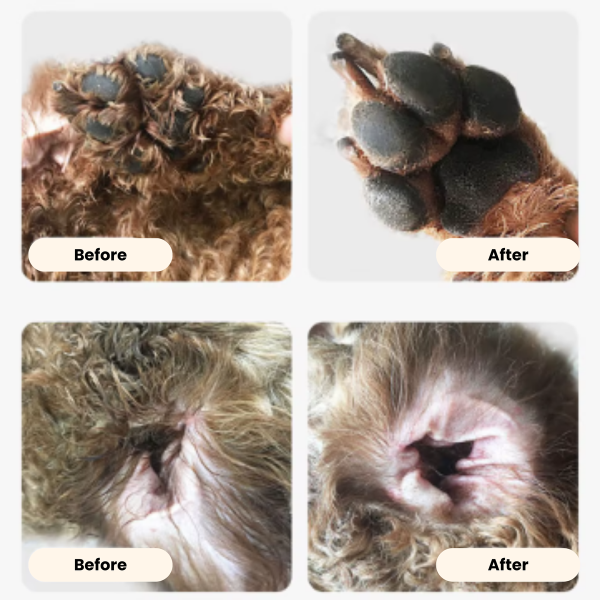 Happy Paws™ Precision Paw & Fur Trimmer
