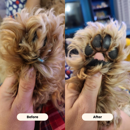 Happy Paws™ Precision Paw & Fur Trimmer